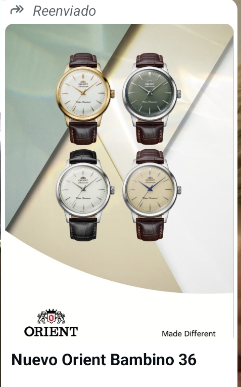 Colección de cuatro relojes Orient Bambino 36 con correa de piel